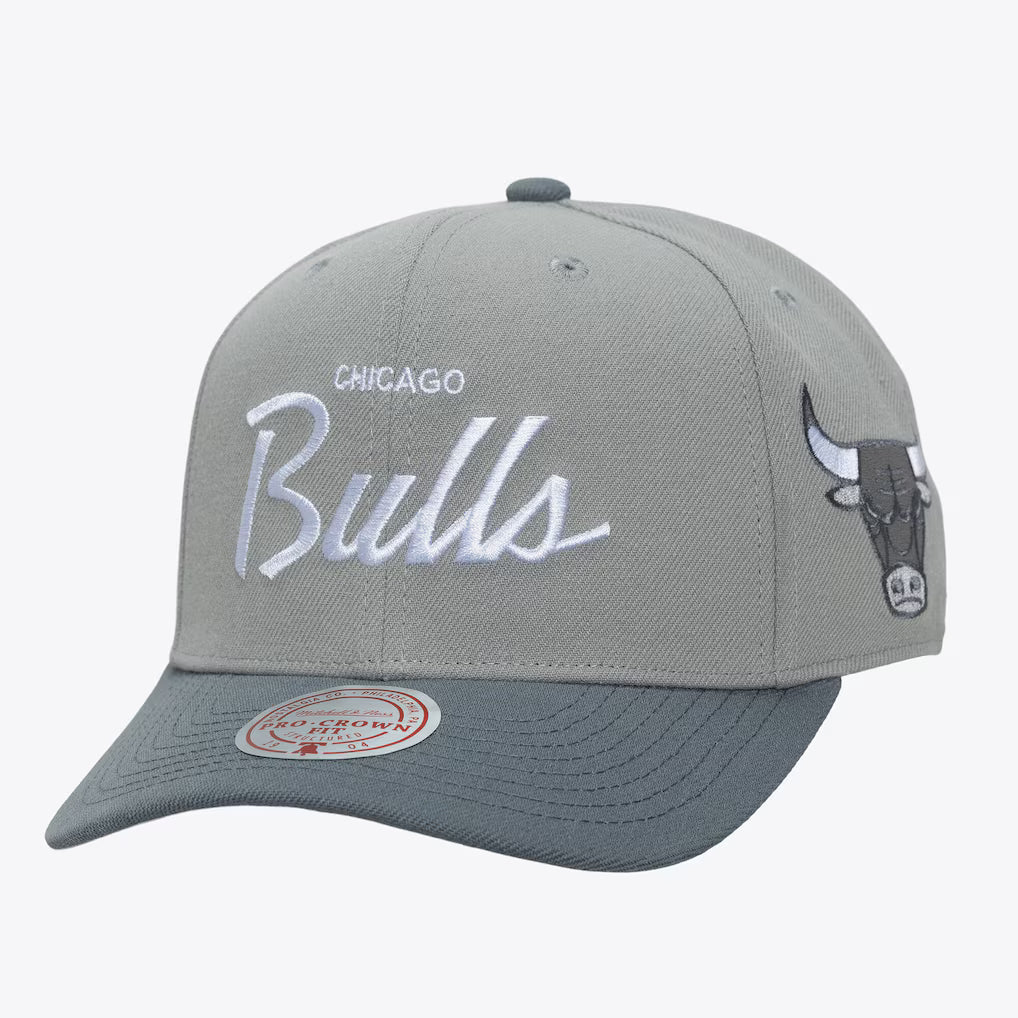M&N NBA Chicago Bulls Thunderstorm Head Coach Pro Snapback Hat